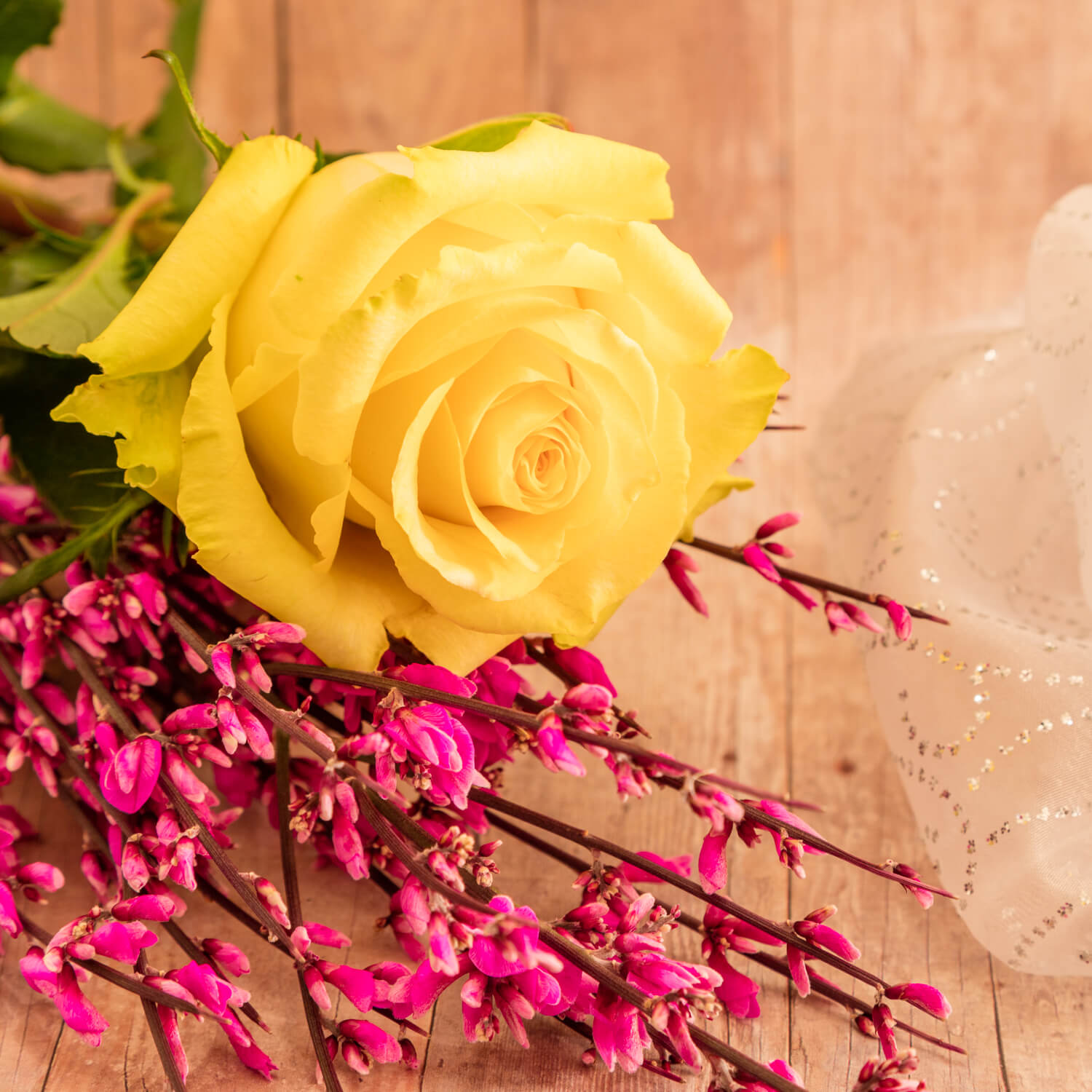 Photo of Floral Wall Flowers